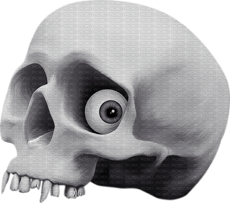 skull by nataliplus - kostenlos png