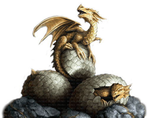 gold dragon by nataliplus - PNG gratuit