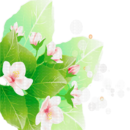 Y.A.M._Spring Flowers Decor - png grátis