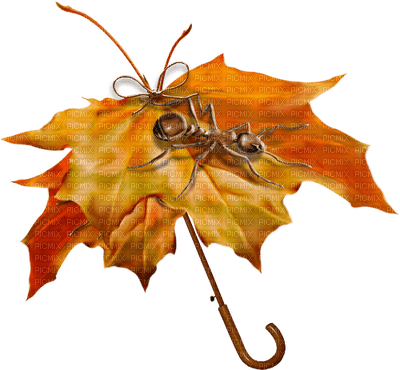 deco autumn automne leaves feuilles - PNG gratuit