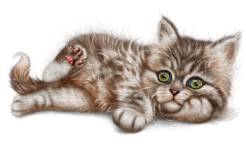 kikkapink cat - δωρεάν png