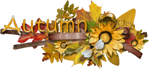 kikkapink deco scrap autumn text - ücretsiz png