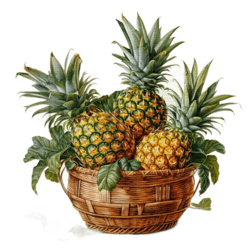 ananas - PNG gratuit