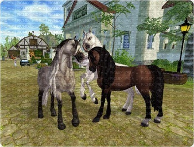 star stable - zadarmo png