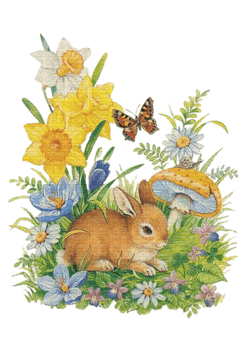 Ostern, Hase, Frühling - png grátis