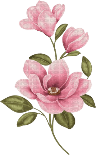 pink flowers deco - png grátis