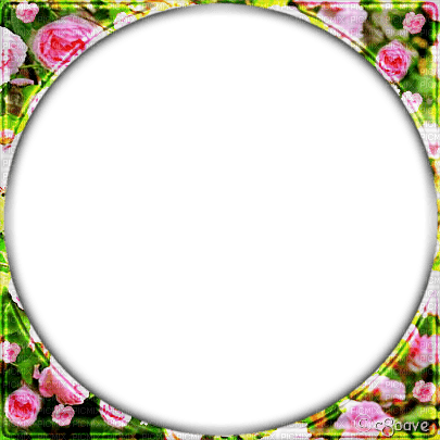 soave  frame circle flowers rose spring pink green - zdarma png