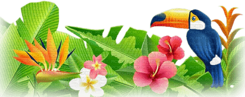 soave deco summer tropical flowers branch bird - gratis png