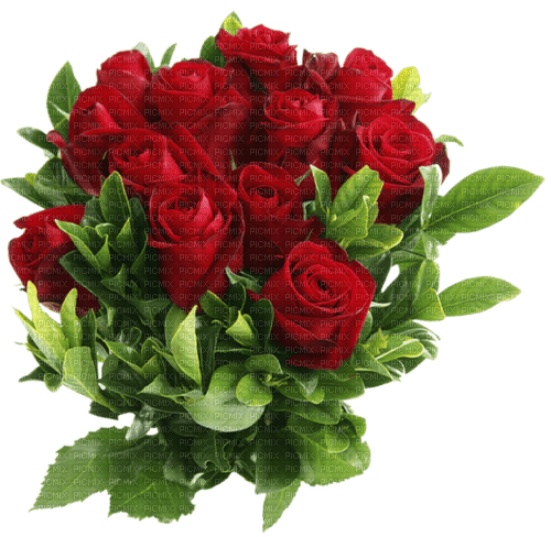 red roses - 免费PNG