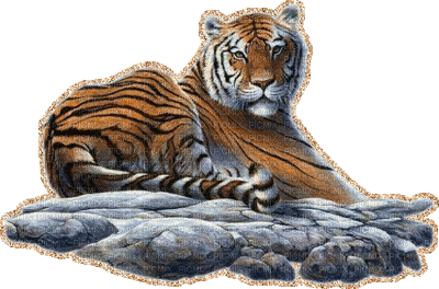 laurachan tiger - Gratis animeret GIF