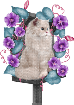 Kaz_Creations Cats Cat Kittens Kitten Flowers - ingyenes png