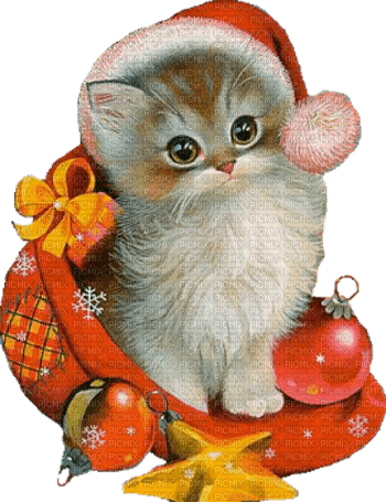 Noël chat - nemokama png