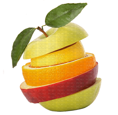 Tournesol94 fruit - gratis png