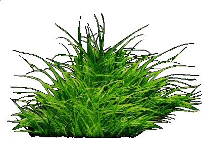 Трава - Besplatni animirani GIF