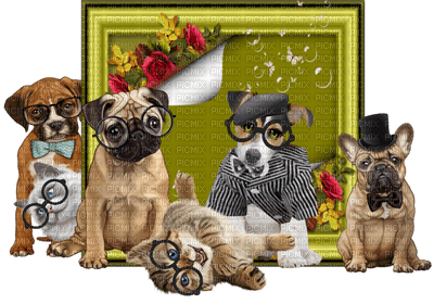 Kathleen Reynolds Dogs Pups Cats Kittens - ücretsiz png