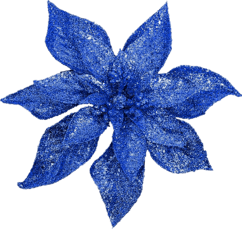 Christmas.Flower.Blue - besplatni png