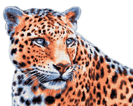 leopard milla1959 - kostenlos png