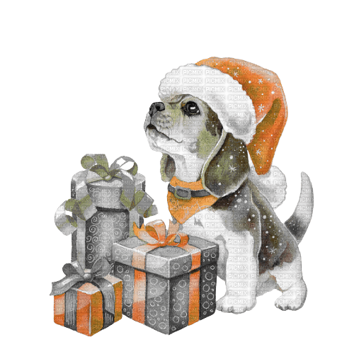 kikkapink dog winter animal animals christmas - δωρεάν png