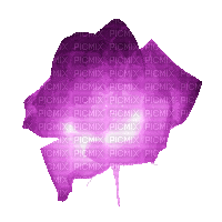 Flower, Flowers, Rose, Roses, Flashing, Pink, Purple  - Jitter.Bug.Girl - 無料のアニメーション GIF