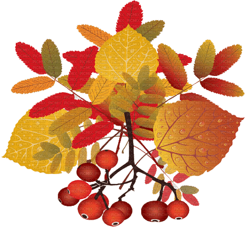 autumn automne herbst milla1959 - Бесплатный анимированный гифка