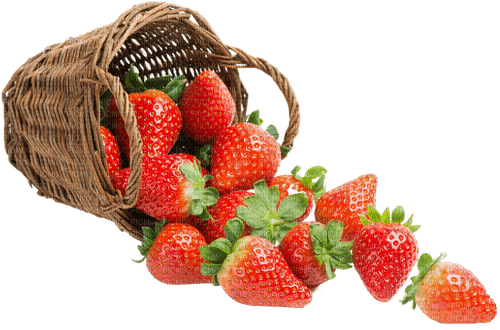Корзина с ягодами - бесплатно png