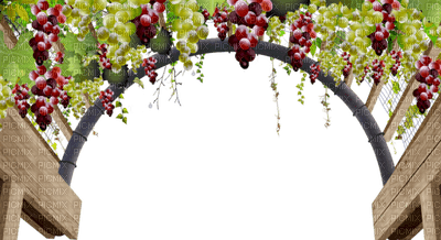 grapes bp - png grátis