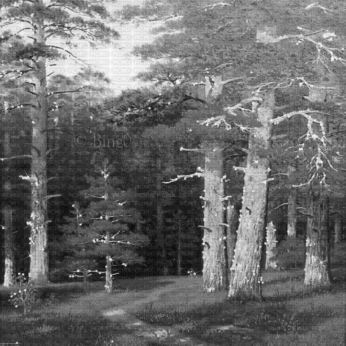 Y.A.M._Landscape forest background black-white - Gratis animeret GIF