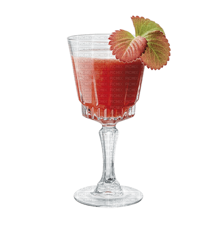 tequila rose - zdarma png