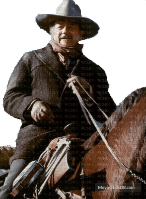 Cowboy hiver John Wayne - gratis png