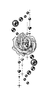 Rose, Roses, Flower, Flowers, Deco, GIF - Jitter.Bug.Girl - 無料のアニメーション GIF