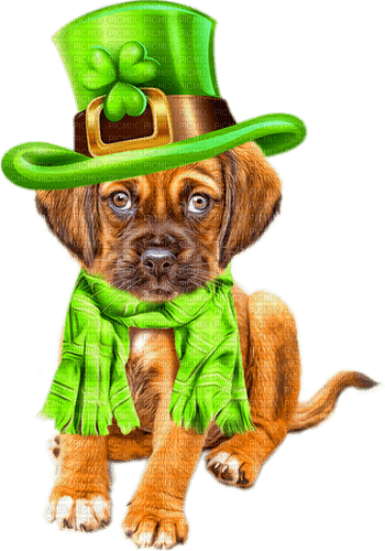 Puppy.St.Patrick's Day.Brown.Green - nemokama png