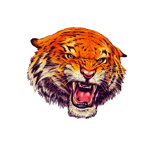 tiger - Kostenlose animierte GIFs