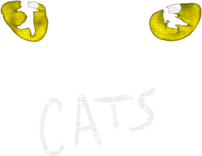 Cats  the musical bp - besplatni png
