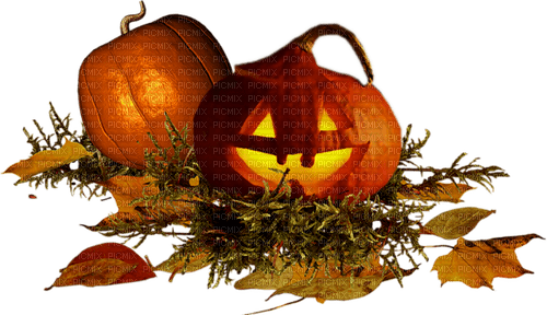 halloween pumpkin by nataliplus - zadarmo png