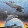 whimsy dolphins - Gratis geanimeerde GIF