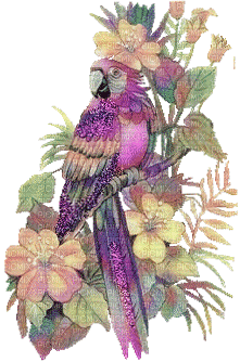 A parrot - Gratis geanimeerde GIF
