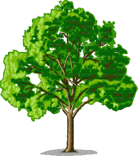 arbre - GIF animate gratis