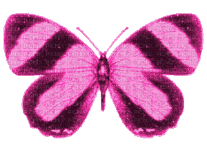 Butterfly - Darmowy animowany GIF