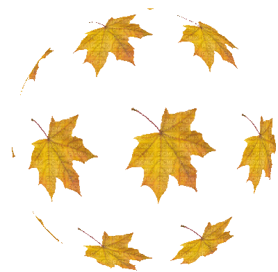 deco autumn automne leaves feuilles - Ingyenes animált GIF