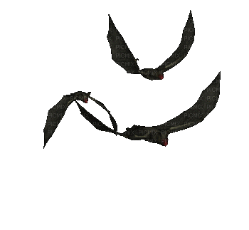 birds anastasia - Δωρεάν κινούμενο GIF