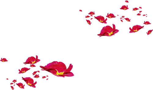 blomma--flower--red--röd - Free PNG