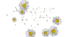Blumen, Flowers - GIF animé gratuit