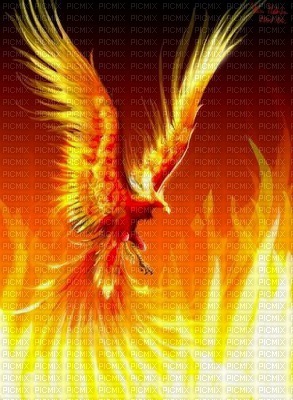 fire animal bp - PNG gratuit