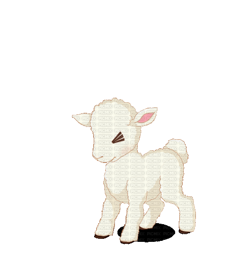 Lamb - GIF animado grátis