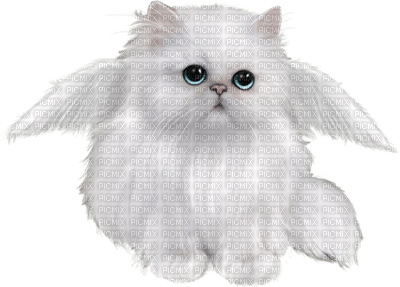 Kaz_Creations Cat - besplatni png