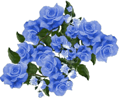 rosas azuis-l - png ฟรี