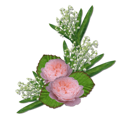 patymirabelle muguet fleurs - ilmainen png