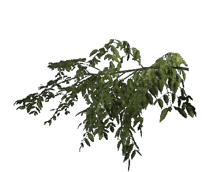 Деревья - Kostenlose animierte GIFs