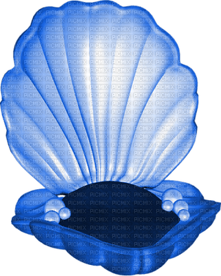 Coquille ** - 無料png