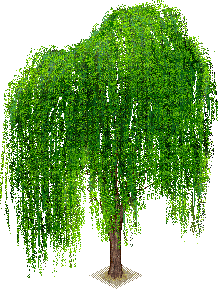 tree - Nitsa P - Darmowy animowany GIF